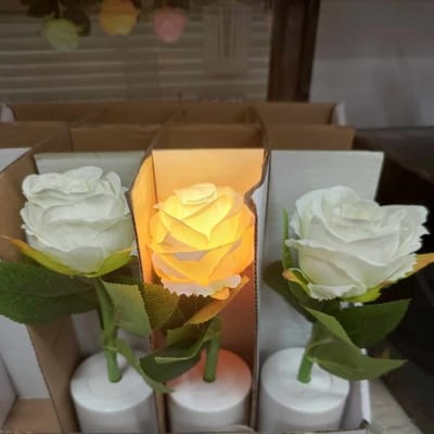 Rose Light 1pc_img_0