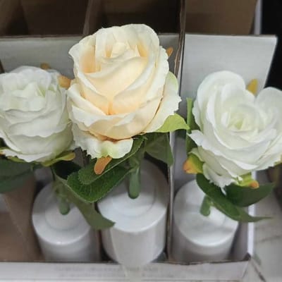 Rose Light 1pc_img_1